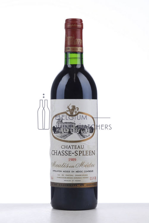 Afbeeldingen van 1989 CHASSE SPLEEN